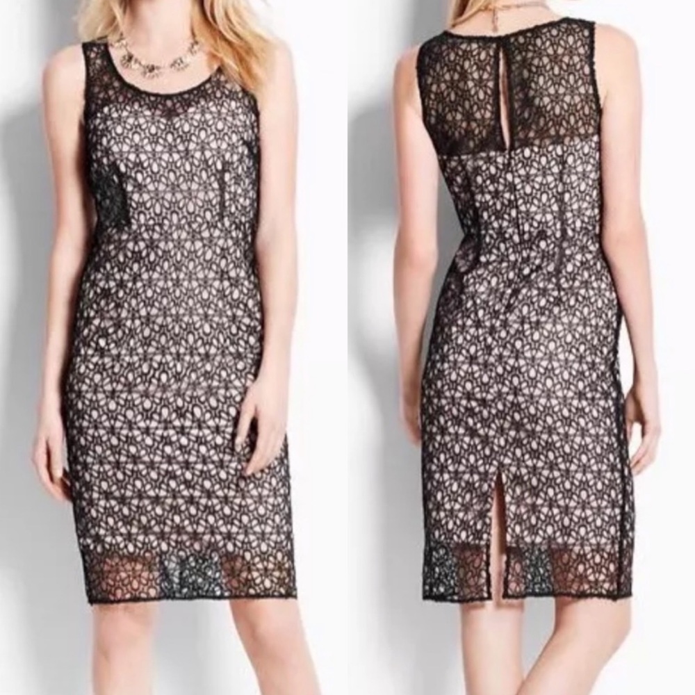 Ann Taylor Petites Lace Overlay Dress
